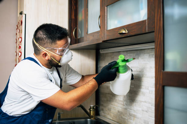 Professional Pest Control in Woodstock, AL